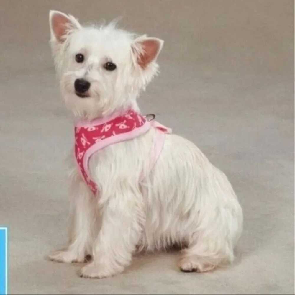 Dog Is Good Bolo Harness Size Large New